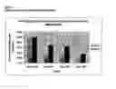 Fig. 04 - Bone Morphogenetic Protein (Bmp) 2A and Uses Thereof