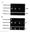 Fig. 01 - MGAL:  A GAL Gene Switch-Based Suite of Methods for Protein Analyses and Protein Expression in Multicellular Organisms and Cells Therefrom