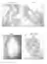 Fig. 01 - Methods and compositions for the treatment of intestinal conditions