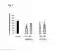 Fig. 06 - Methods and compositions for the treatment of intestinal conditions