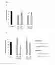 Fig. 07 - Methods and compositions for the treatment of intestinal conditions