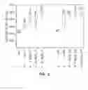 Fig. 07 - Compounds and methods to enhance rAAV transduction