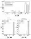 Fig. 13 - Compounds and methods to enhance rAAV transduction