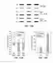 Fig. 27 - Compounds and methods to enhance rAAV transduction