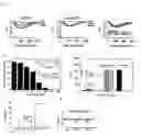 Fig. 02 - Compositions and methods for modulating calcium flux, glucose homeostasis and apoptosis