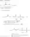 Fig. 22 - Organophosphorous compounds for the activation of gamma/delta T cells