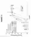 Fig. 10 - Cycloalkane-containing sphingosine 1-phosphate agonists