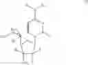Fig. 10 - Homogemcitabines