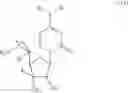 Fig. 17 - Homogemcitabines