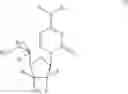 Fig. 19 - Homogemcitabines