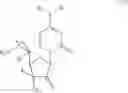 Fig. 26 - Homogemcitabines