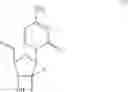 Fig. 27 - Homogemcitabines