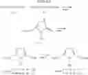 Fig. 33 - Non-nucleoside reverse transcriptase inhibitors