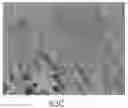 Fig. 01 - Hot melt adhesive