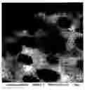 Fig. 01 - Soft heterogeneous isotactic polypropylene compositions