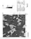 Fig. 06 - Soft heterogeneous isotactic polypropylene compositions