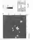 Fig. 07 - Soft heterogeneous isotactic polypropylene compositions