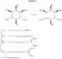 Fig. 22 - Molecular transporters based on sugar and its analogues and processes for the preparation thereof