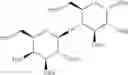 Fig. 35 - Molecular transporters based on sugar and its analogues and processes for the preparation thereof