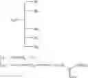 Fig. 40 - Molecular transporters based on sugar and its analogues and processes for the preparation thereof