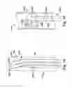 Fig. 08 - Apparatus and method for targeting a body tissue