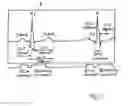 Fig. 03 - Method and Apparatus for Defining Cardiac Time Intervals