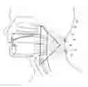 Fig. 01 - Method and device for determining the location of snoring