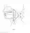 Fig. 09 - Method and device for determining the location of snoring