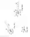 Fig. 41 - ANASTOMOSIS SYSTEMS AND METHODS