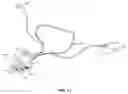 Fig. 09 - MICROCURRENT STIMULUS APPARATUS