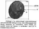 Fig. 01 - Method for the production of intervertebral disk cell transplants and their use as transplantation material