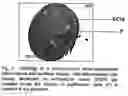 Fig. 02 - Method for the production of intervertebral disk cell transplants and their use as transplantation material