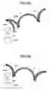 Fig. 19 - Method, device and program for presenting inner force sense and program
