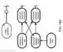 Fig. 100 - Method and Apparatus for Modeling Atherosclerosis