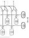 Fig. 141 - Method and Apparatus for Modeling Atherosclerosis