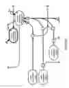 Fig. 151 - Method and Apparatus for Modeling Atherosclerosis
