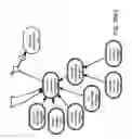 Fig. 161 - Method and Apparatus for Modeling Atherosclerosis