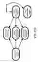 Fig. 170 - Method and Apparatus for Modeling Atherosclerosis