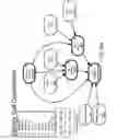 Fig. 178 - Method and Apparatus for Modeling Atherosclerosis