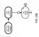 Fig. 192 - Method and Apparatus for Modeling Atherosclerosis