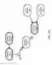 Fig. 196 - Method and Apparatus for Modeling Atherosclerosis