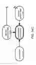 Fig. 199 - Method and Apparatus for Modeling Atherosclerosis