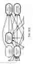 Fig. 20 - Method and Apparatus for Modeling Atherosclerosis