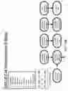 Fig. 205 - Method and Apparatus for Modeling Atherosclerosis