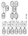 Fig. 210 - Method and Apparatus for Modeling Atherosclerosis