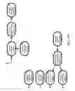 Fig. 216 - Method and Apparatus for Modeling Atherosclerosis