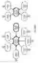 Fig. 232 - Method and Apparatus for Modeling Atherosclerosis
