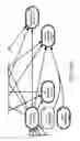 Fig. 24 - Method and Apparatus for Modeling Atherosclerosis