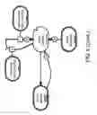 Fig. 26 - Method and Apparatus for Modeling Atherosclerosis