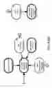 Fig. 262 - Method and Apparatus for Modeling Atherosclerosis